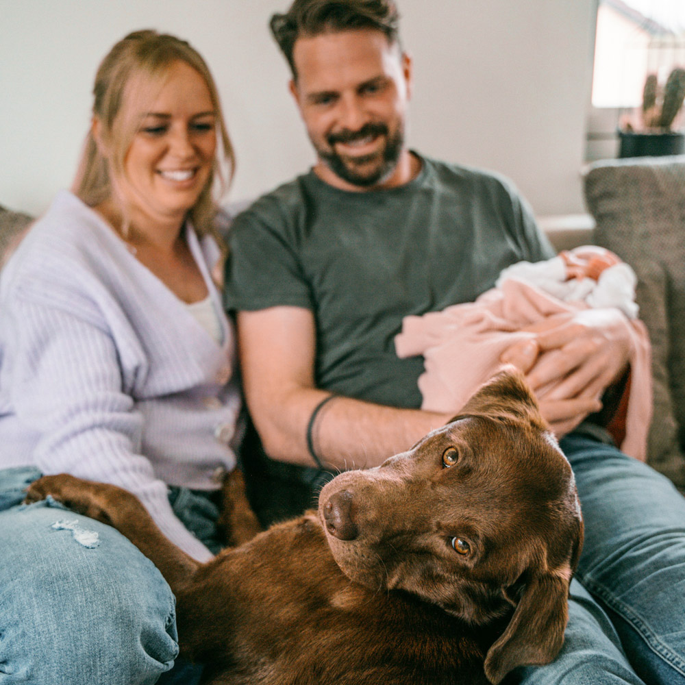Neugeborenen-Shooting-zu-Hause-mit-Hund